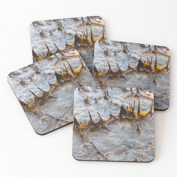 Item preview, Mangrove Roots Wearing Batwings designed and sold by suziq1962.