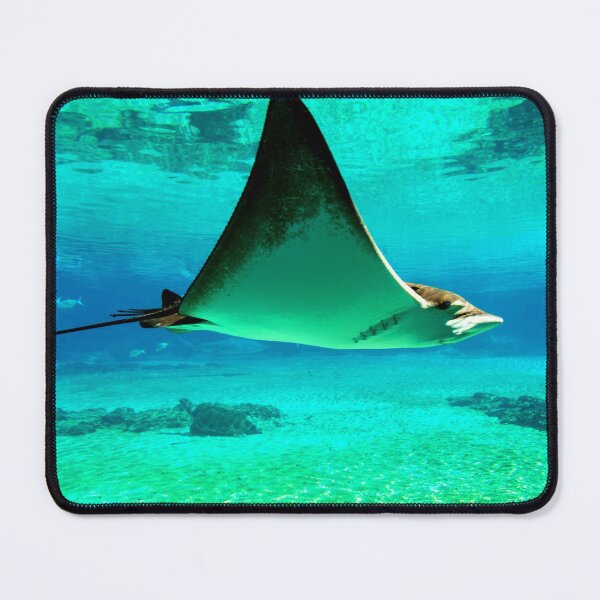 Item preview, ANIMALS #32 - Graceful Manta Ray in Turquoise Waters designed and sold by DEL-Productions.