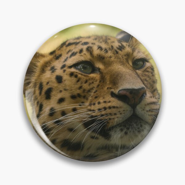 Item preview, Amur Leopard designed and sold by rawshutterbug.