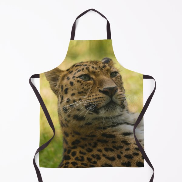 Item preview, Amur Leopard designed and sold by rawshutterbug.