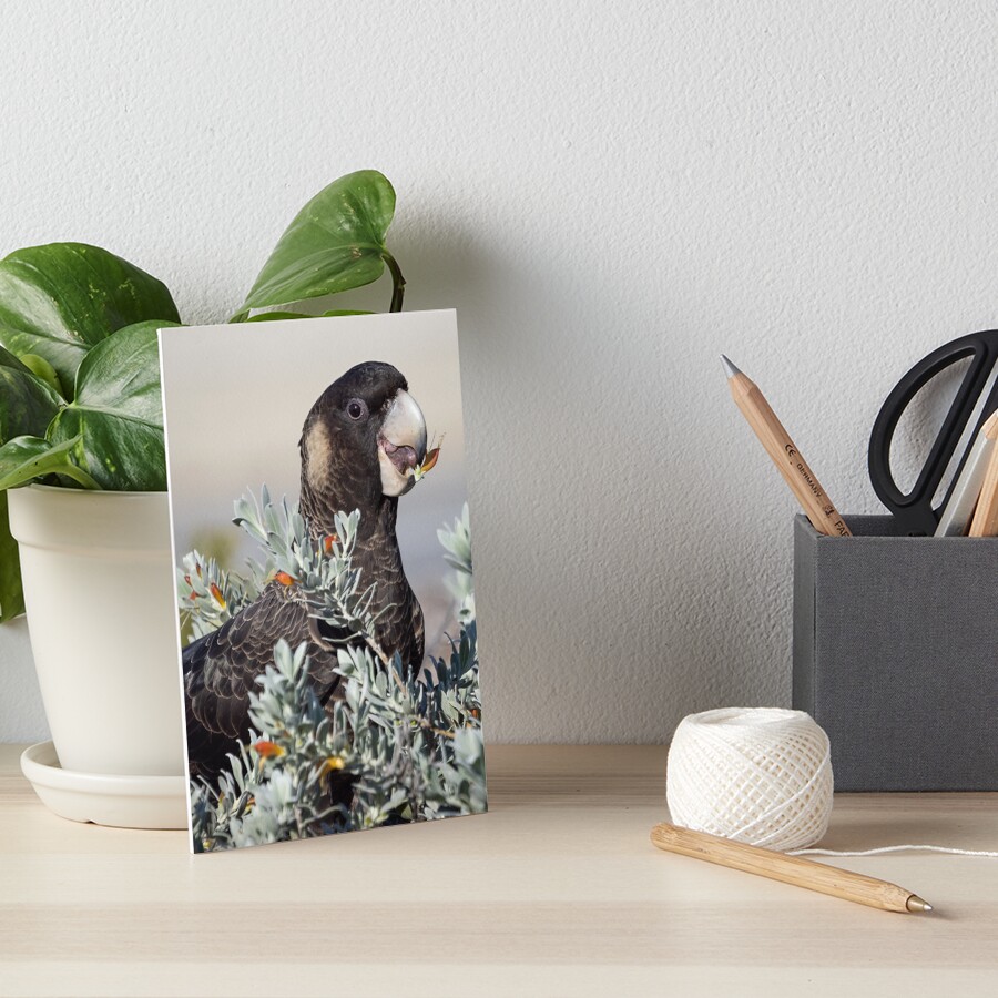 Item preview, Art Board Print designed and sold by Cadman.