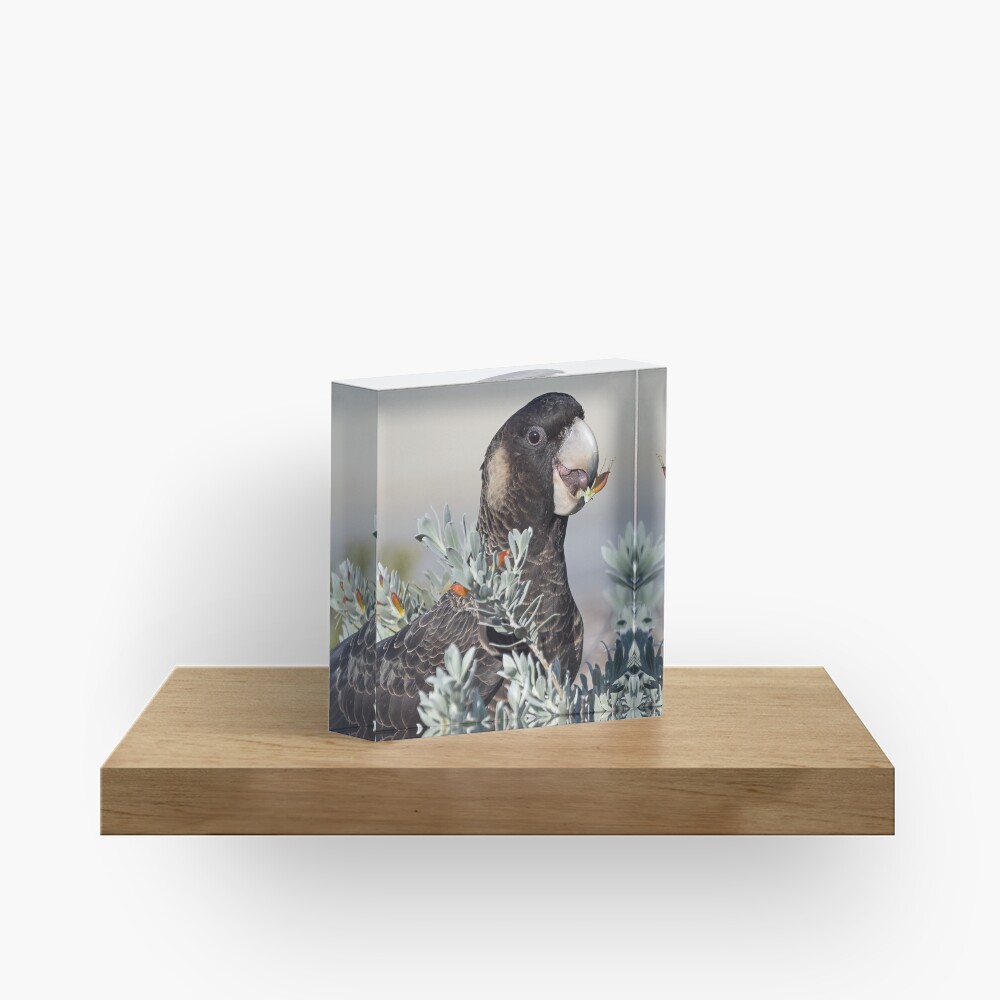 Item preview, Acrylic Block designed and sold by Cadman.