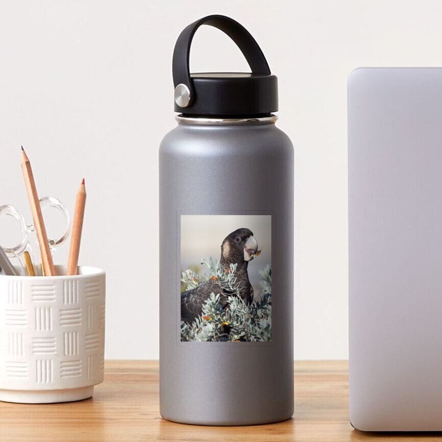 Item preview, Transparent Sticker designed and sold by Cadman.