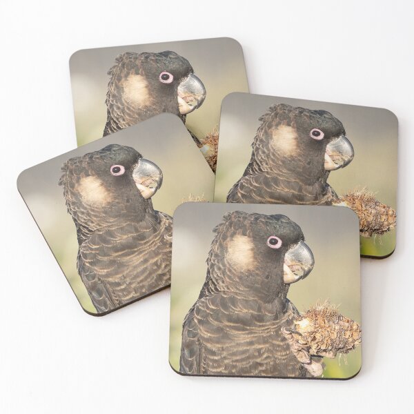 Item preview, Carnabys Black Cockatoo with Banksia Nut designed and sold by Peter Caddy.