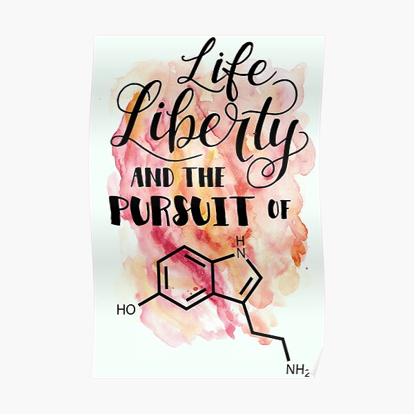 Pursuit Of Happiness Posters Redbubble