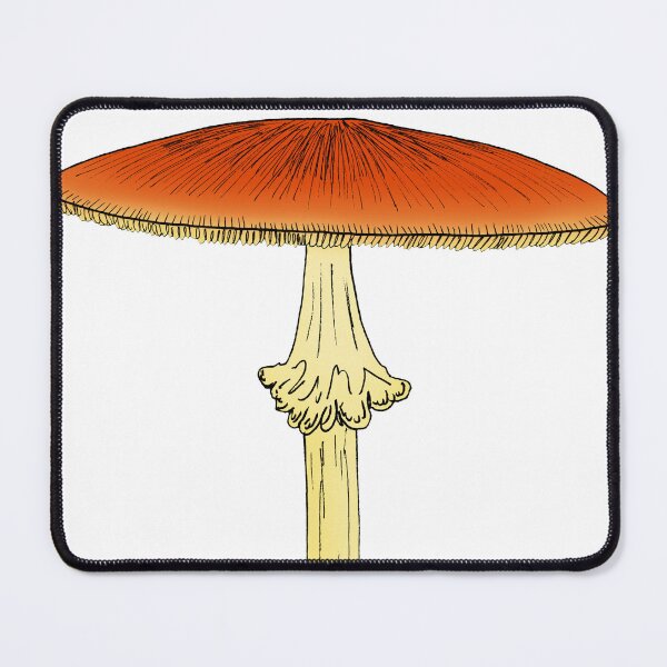 Item preview, Amanita jacksoni designed and sold by Stanton.