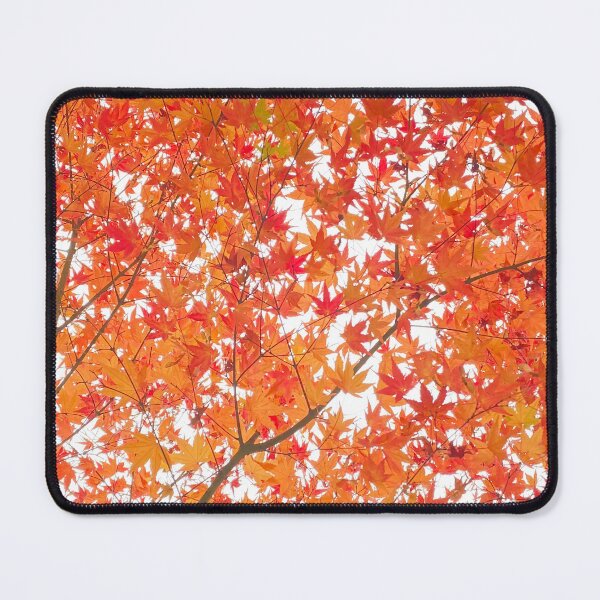 Item preview, Maple Leaves in Fall designed and sold by DigiDog Designs.
