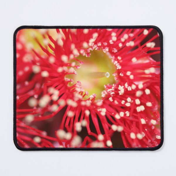 Item preview, Red Gum Blossom designed and sold by Leanne Davis.