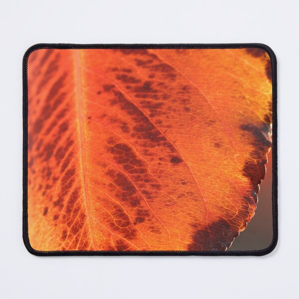 Item preview, Autumn glow designed and sold by Leanne Davis.