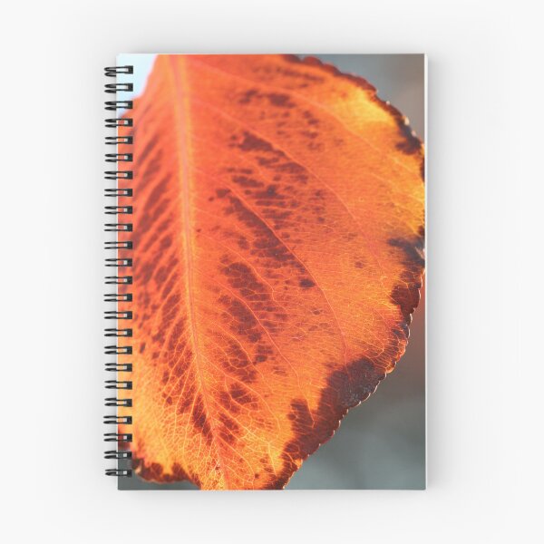 Item preview, Autumn glow designed and sold by Leanne Davis.