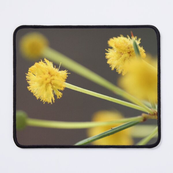 Item preview, Dead Finish Wattle designed and sold by Leanne Davis.