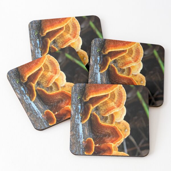Item preview, Chiluly Forest Fungus designed and sold by DigiDog Designs.