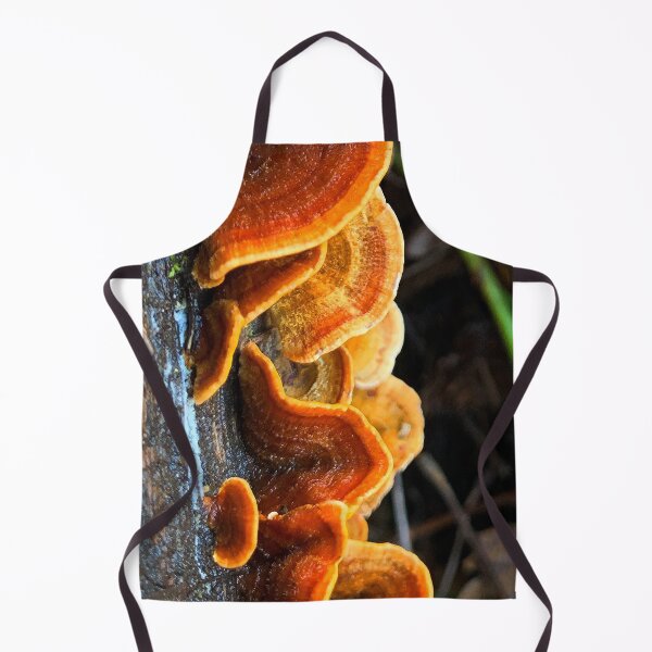 Item preview, Chiluly Forest Fungus designed and sold by DigiDog Designs.