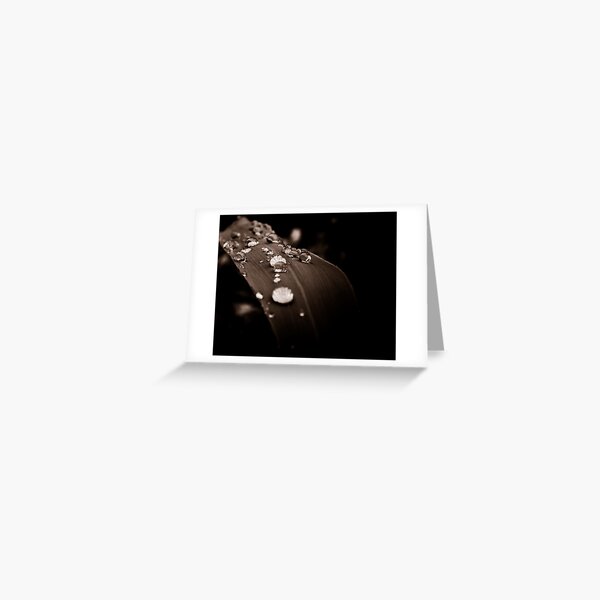 Dewdrop Trail Greeting Card