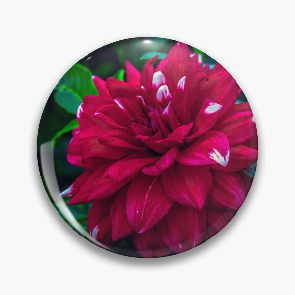 Item preview, Full Red Bloom designed and sold by Steven Jodoin.