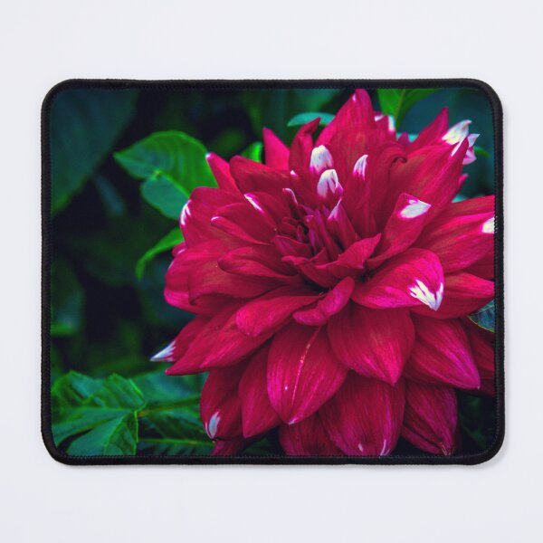 Item preview, Full Red Bloom designed and sold by Steven Jodoin.