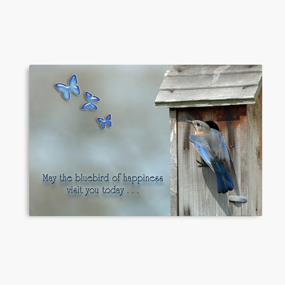 A new generation finds the bluebird of happiness