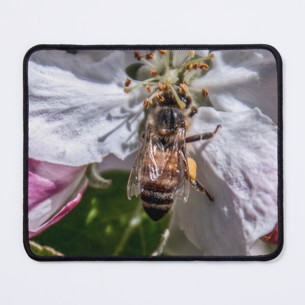 Item preview, Honey bee designed and sold by indiafrankk.