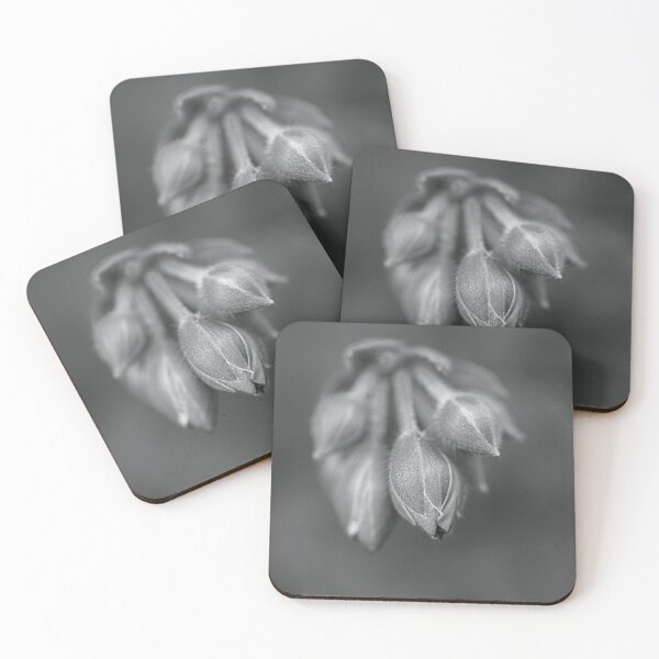 Item preview, Cranesbill Plant Buds designed and sold by Joy Watson - Natural Light Photography .