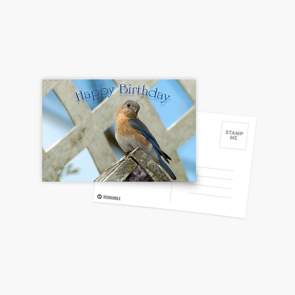 Happy Birthday Bluebird Postcard for Sale by Bonnie T. Barry