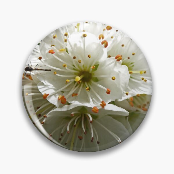 Item preview, Blooming Blackthorn designed and sold by Yampimon.