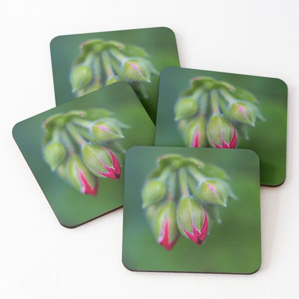 Item preview, Cranesbill Red Buds designed and sold by Joy Watson - Natural Light Photography .