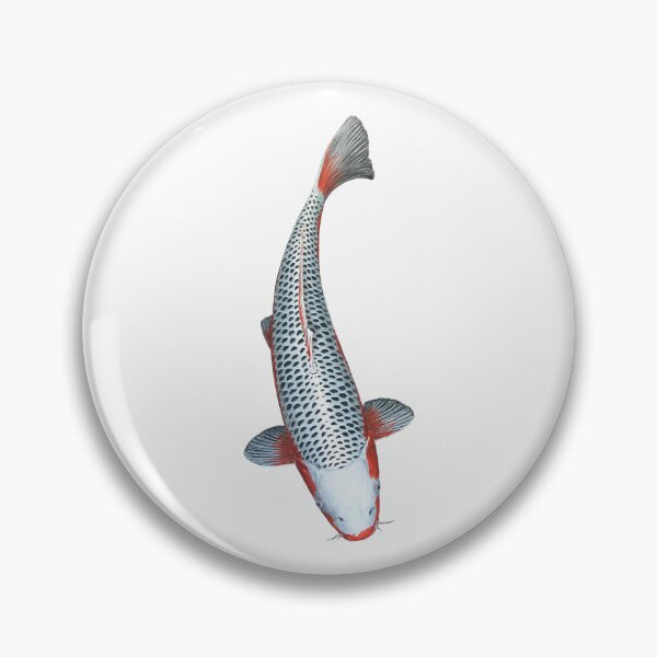 Item preview, Koi Fish Asagi Variety designed and sold by Koiartsandus.