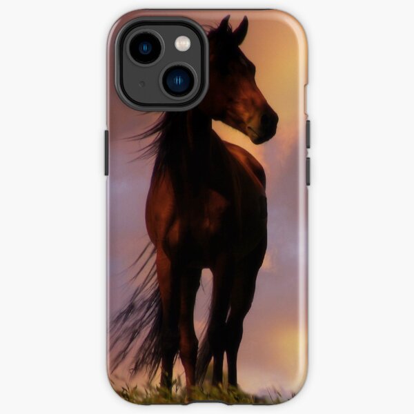 Beautiful Silhouetted Horse in Colorful Sundown iPhone Tough Case