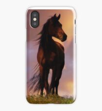 Beautiful Silhouetted Horse in Colorful Sundown iPhone Case