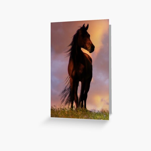 600px x 600px - Beautiful Horse Gifts & Merchandise for Sale | Redbubble
