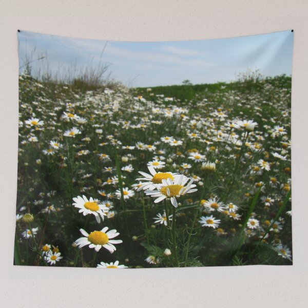 Item preview, Field of daisies. designed and sold by Car drawings by Pavlo Scherbatyuk.