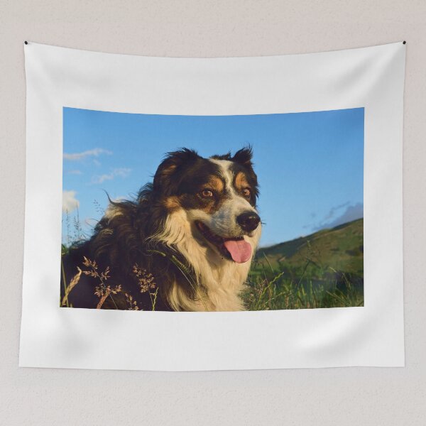 Item preview, Contact. designed and sold by Michael Haslam.