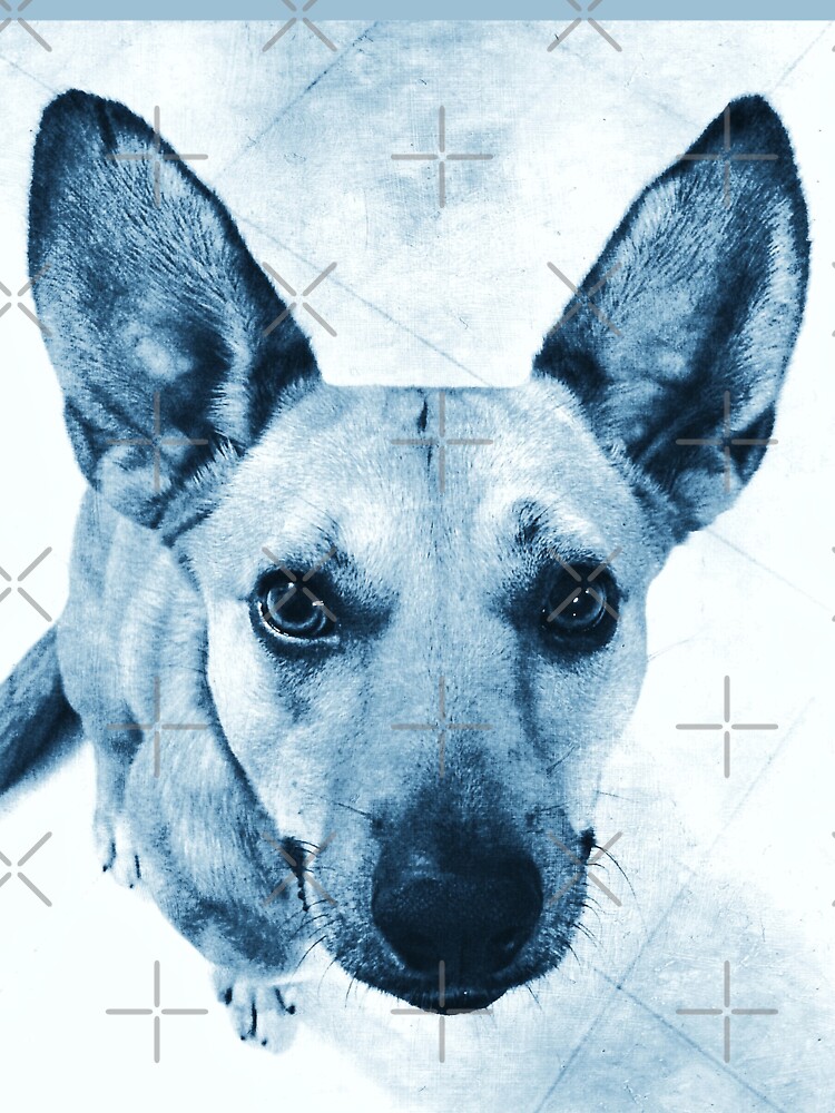 Carolina Dog Blue Pup - American Dingo by OneDayArt
