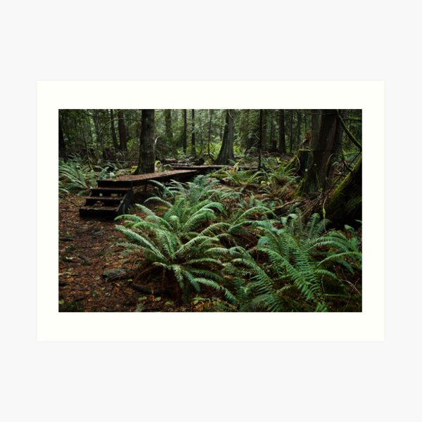 Mt. Parke, Mayne Island Art Print