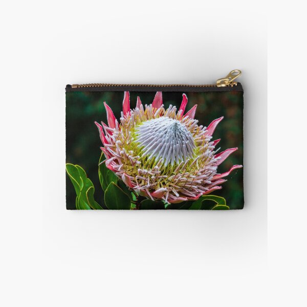 Item preview, King Protea in Flower designed and sold by Scotch Macaskill.