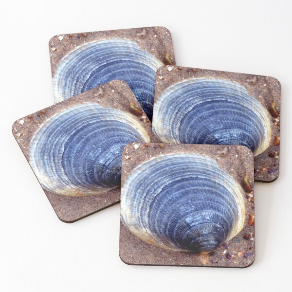 Item preview, shell designed and sold by KathleenDawson.