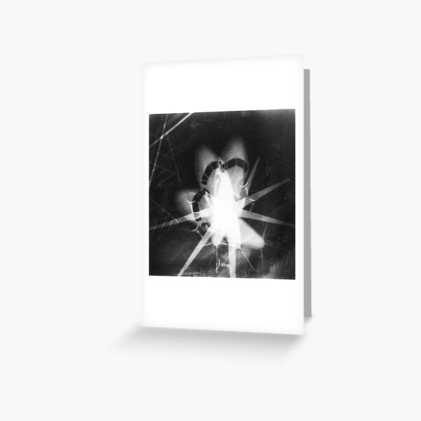 cattle truck Greeting Card