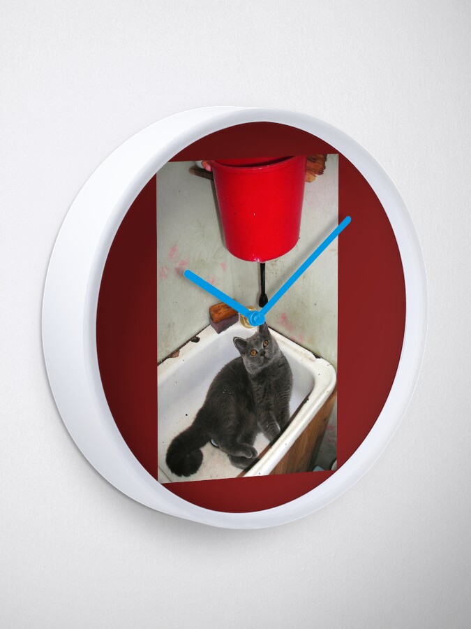Alternate view of British blue. Thirsty Clock