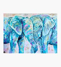 Colorful Elephants Photographic Print