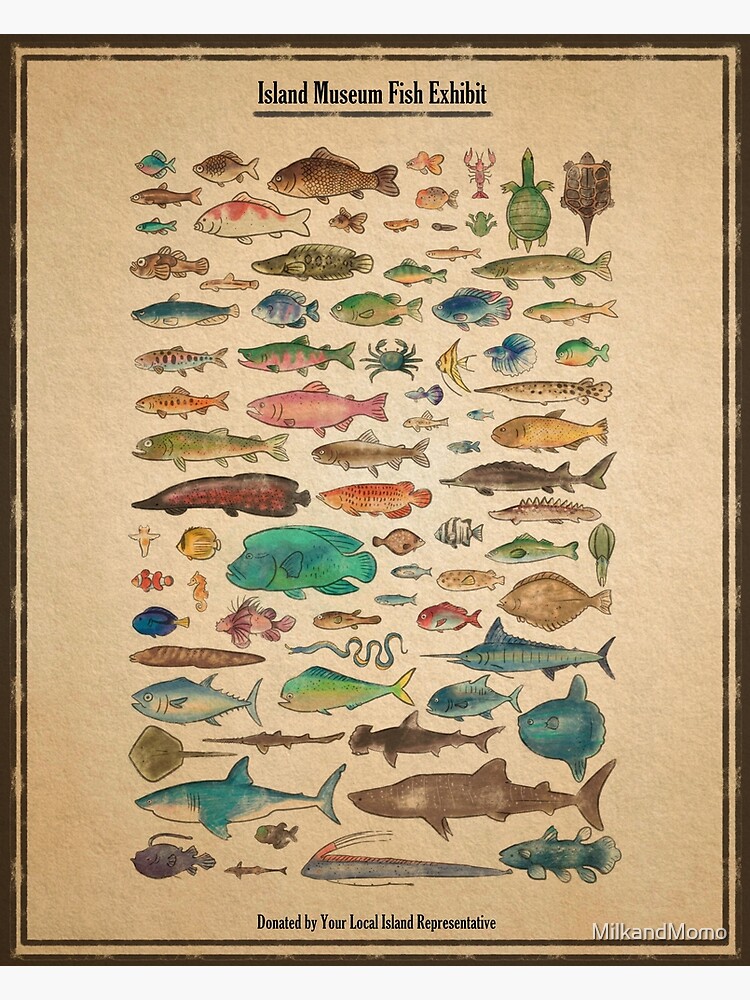 Thumbnail 3 of 3, Poster, Island Museum Fish Exhibit designed and sold by MilkandMomo.