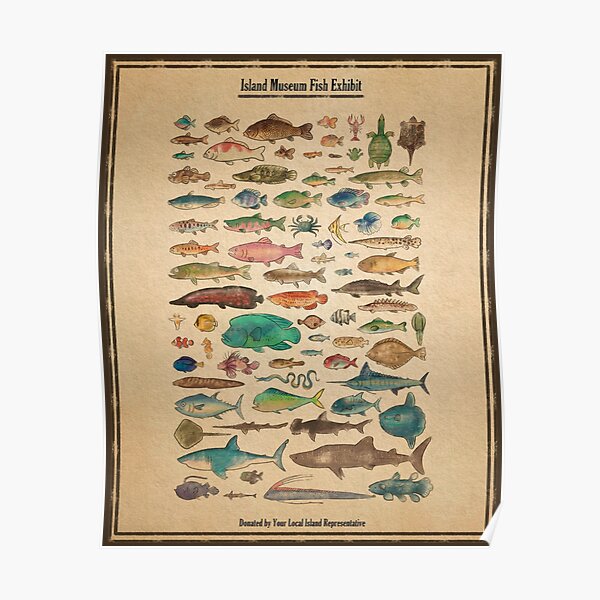 Island Museum Fish Exhibit Poster