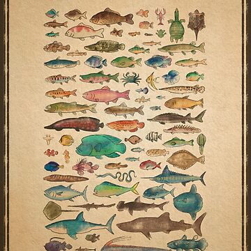 Artwork thumbnail, Island Museum Fish Exhibit by MilkandMomo