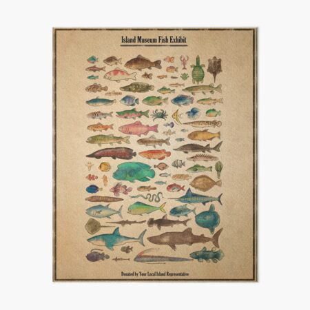 Artikel-Vorschau von Inselmuseum Fischausstellung, designt und verkauft von MilkandMomo.