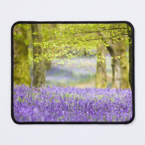 Item preview, Enter the beautiful wild bluebell forest designed and sold by CyaniRose.