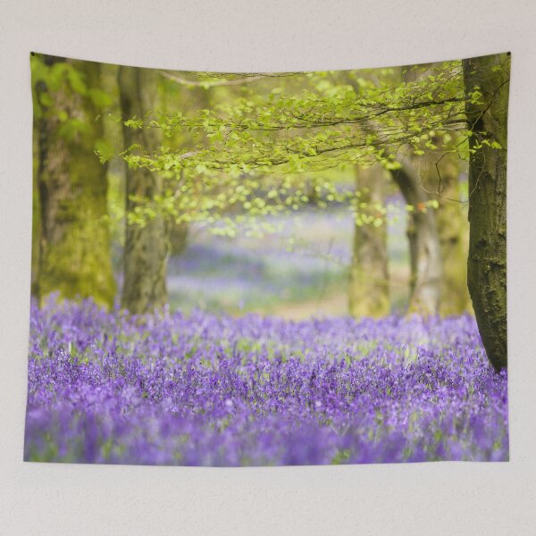 Item preview, Enter the beautiful wild bluebell forest designed and sold by CyaniRose.