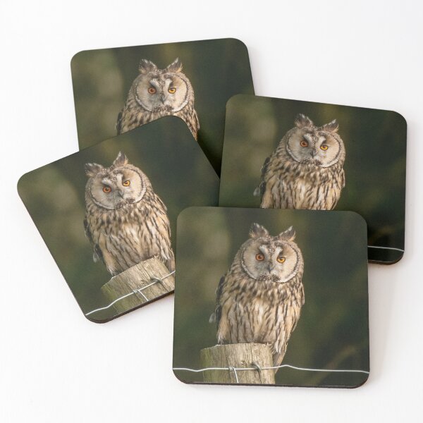 Item preview, long eared owl designed and sold by tammy mellor.