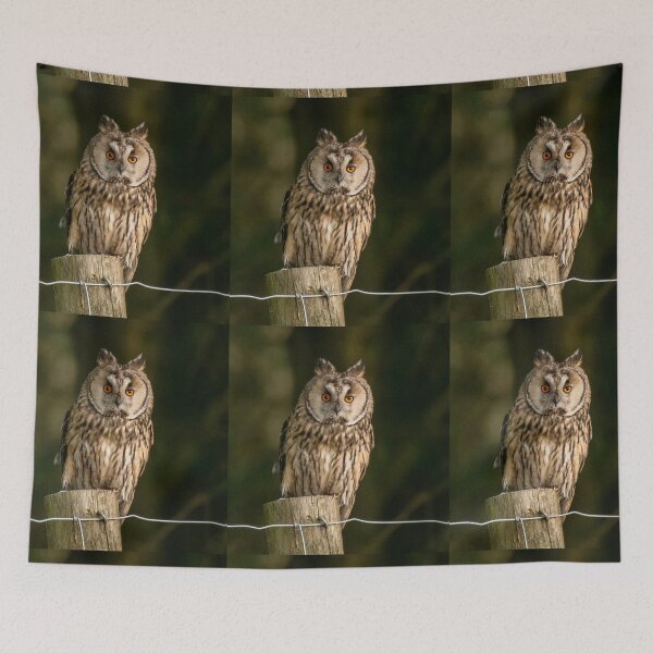 Item preview, long eared owl designed and sold by tammy mellor.