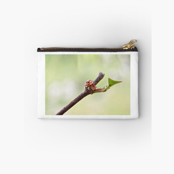 Item preview, Lady Bug designed and sold by Jacob Schouten.