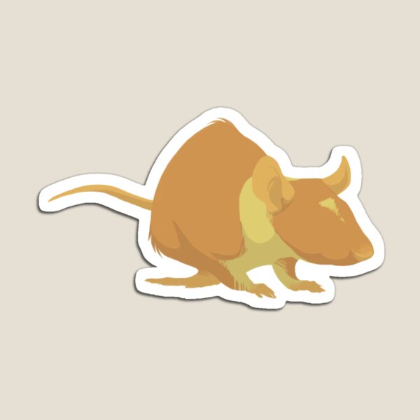 Graphic Rat 03 Magnet