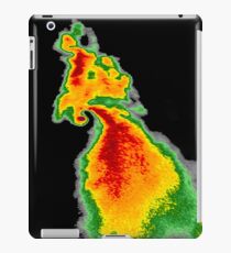 Tornado Doppler Radar iPad Case/Skin